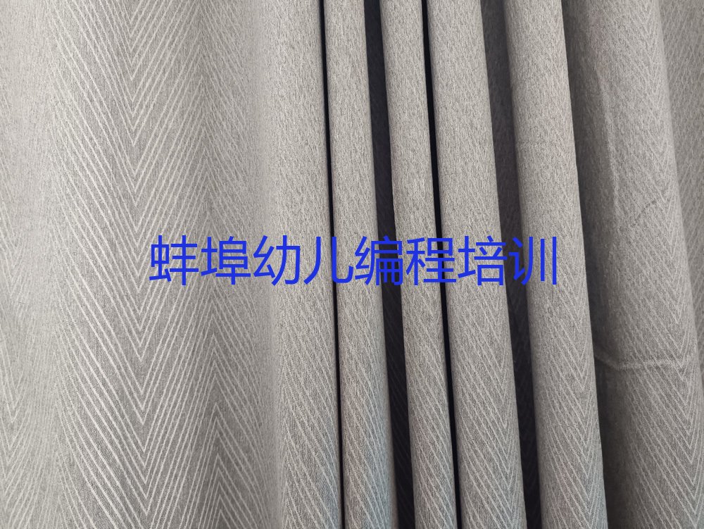 十大蚌埠淮上区幼儿编程培训学校正规的有哪些排行榜