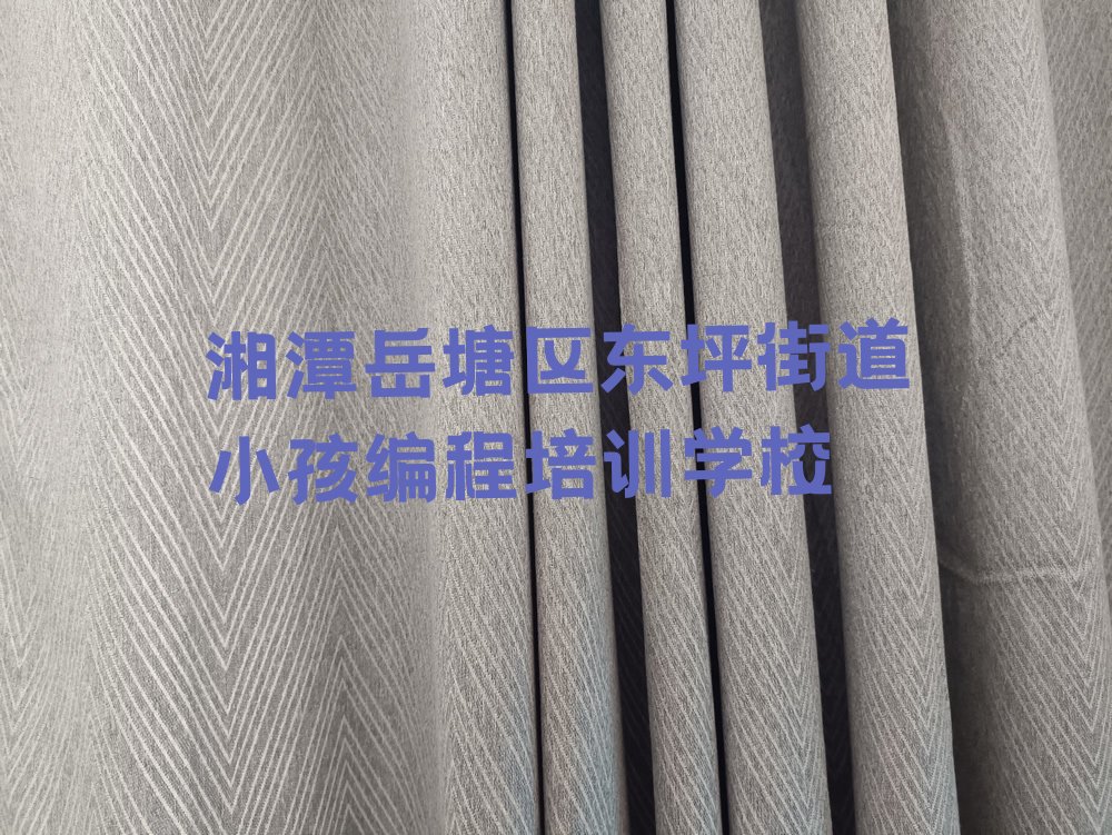 湘潭岳塘区东坪街道小孩编程培训学校