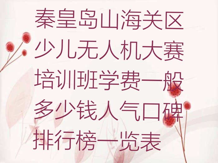 少儿无人机大赛