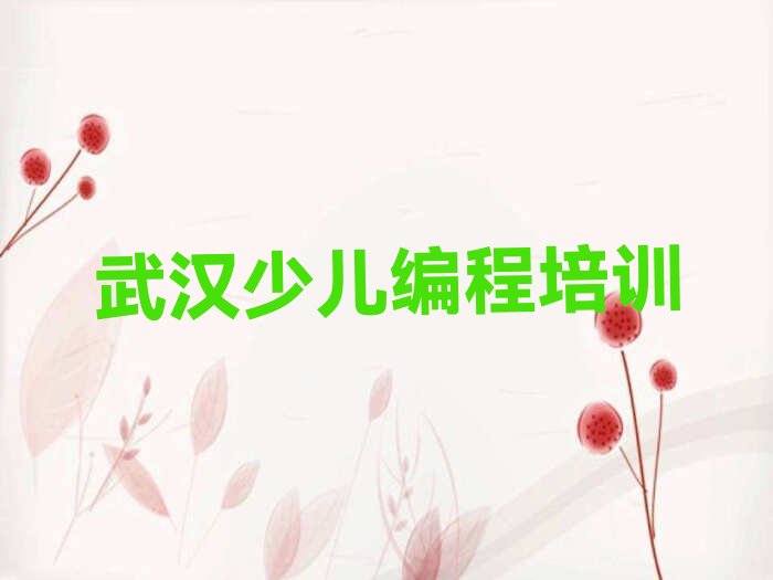 武汉少儿编程培训