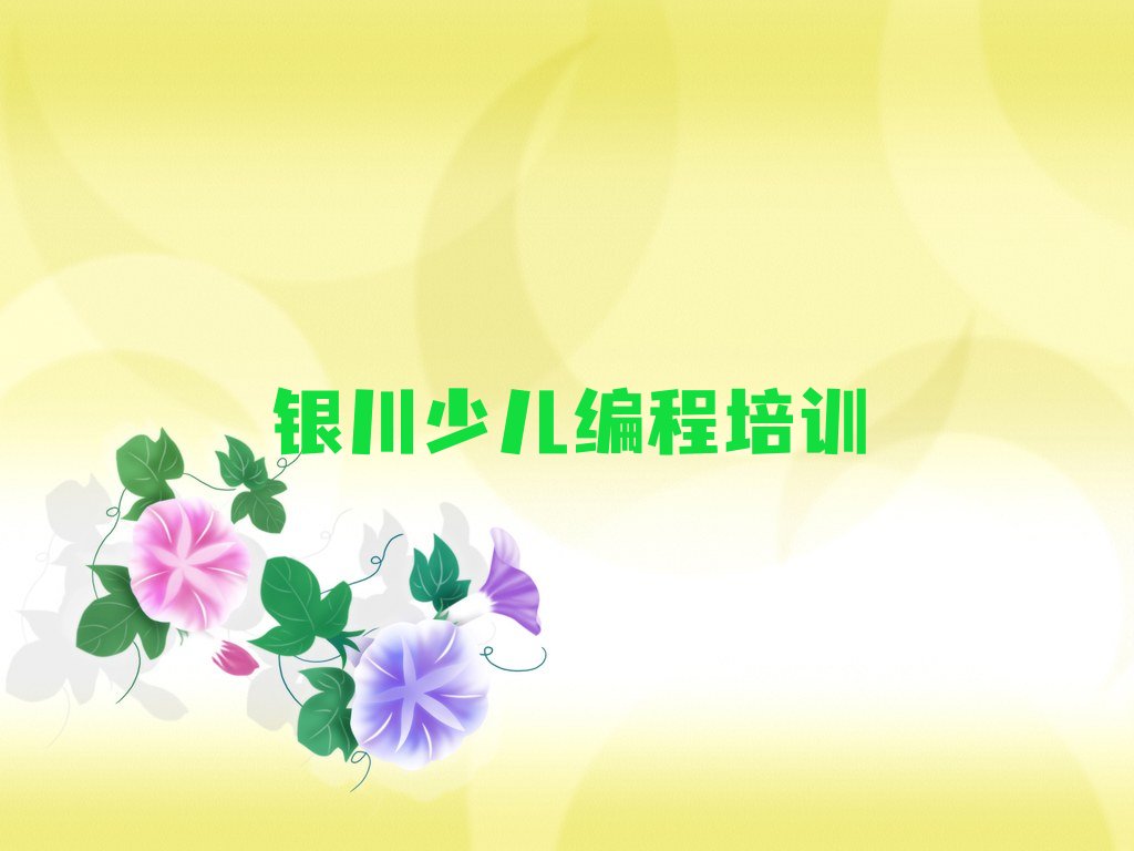 银川少儿编程培训