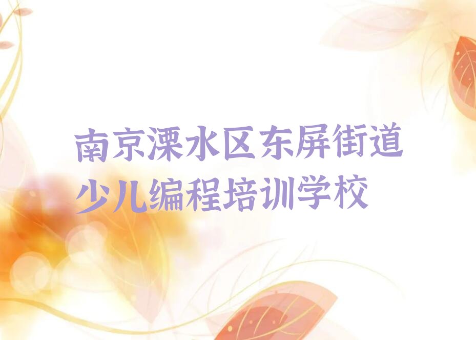 南京溧水区东屏街道少儿编程培训学校