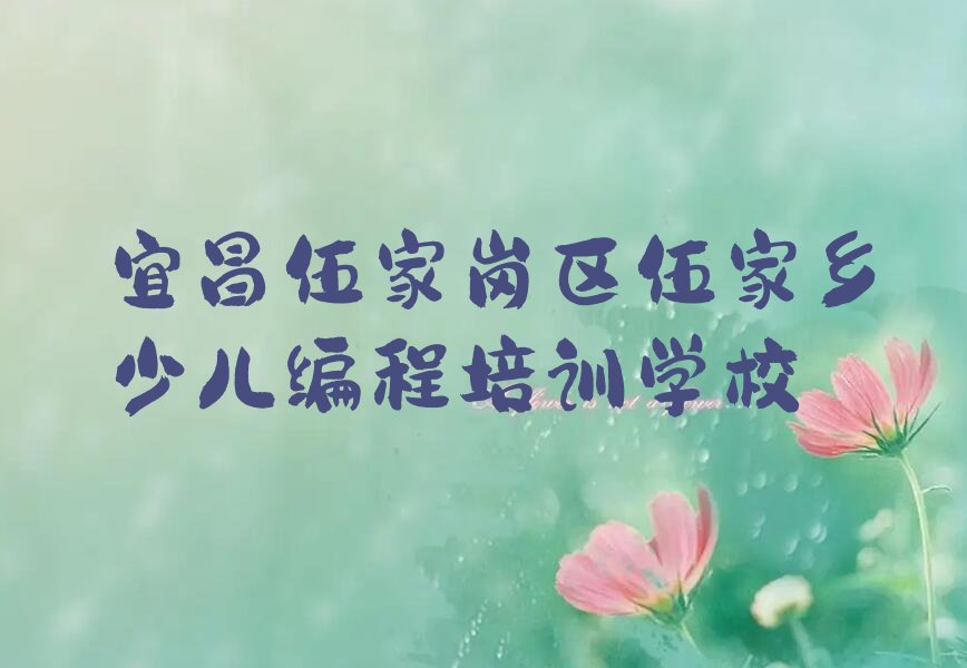 宜昌伍家岗区伍家乡少儿编程培训学校