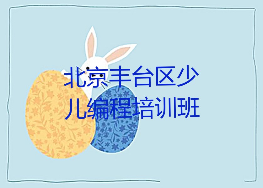 北京丰台区少儿编程培训班