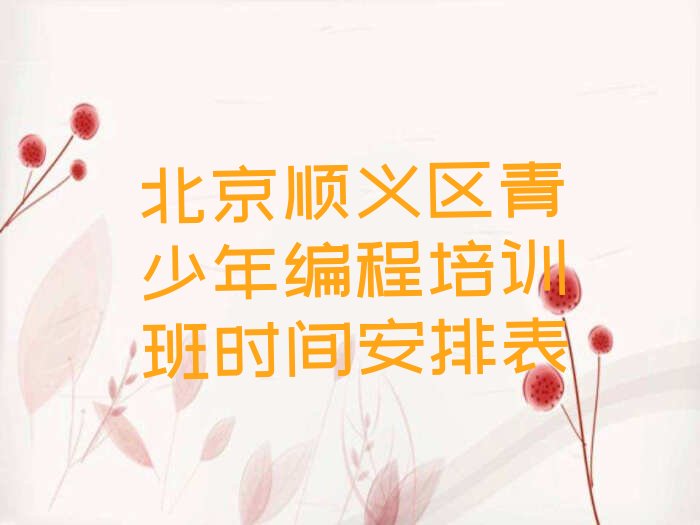 十大北京顺义区青少年编程培训班时间安排表排行榜
