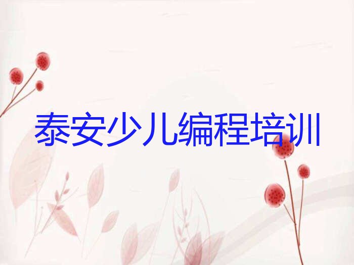 泰安泰山区大津口乡少儿编程培训学校