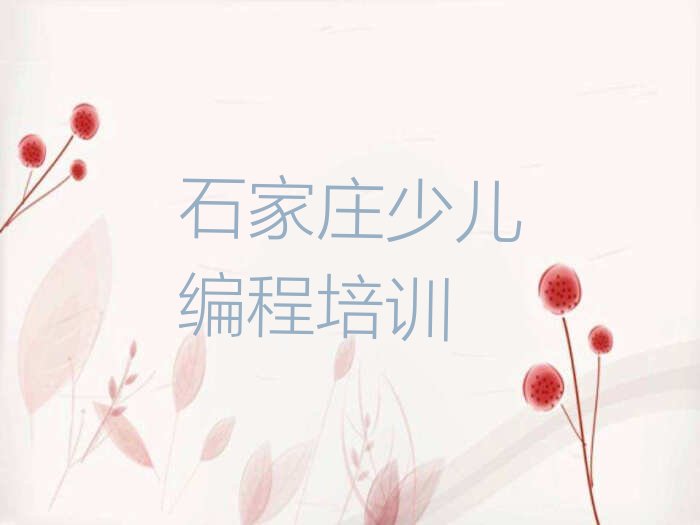 石家庄藁城区小儿编程培训学校