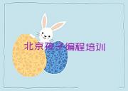 北京孩子编程培训中心