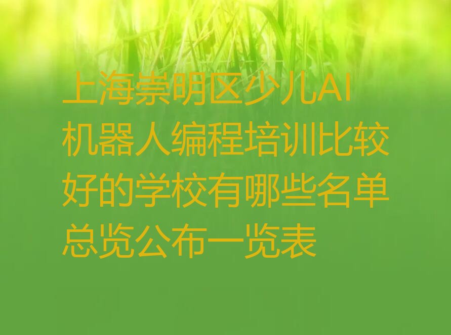 上海崇明区少儿编程培训