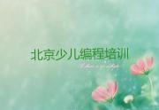 国内的学小孩编程品牌有哪些好排行榜名单公布一览表