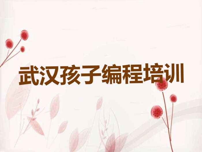 武汉江岸区少儿编程培训
