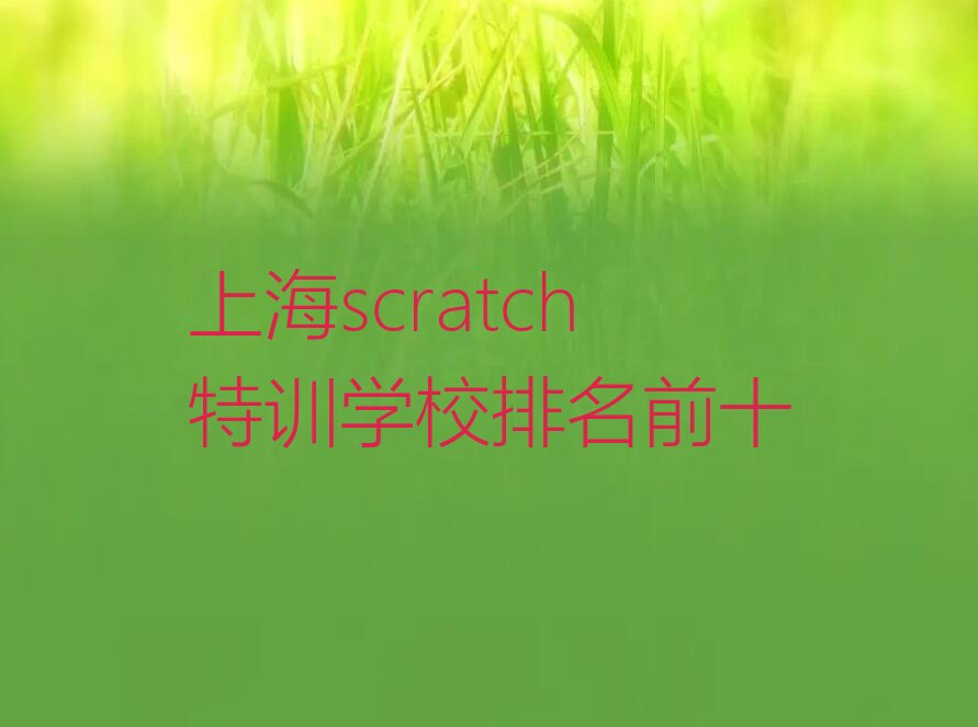 十大上海scratch特训学校排名前十排行榜