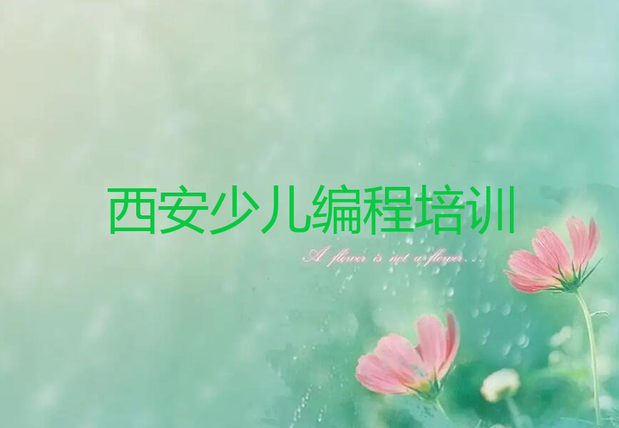 西安未央区未央湖街道儿童编程培训学校