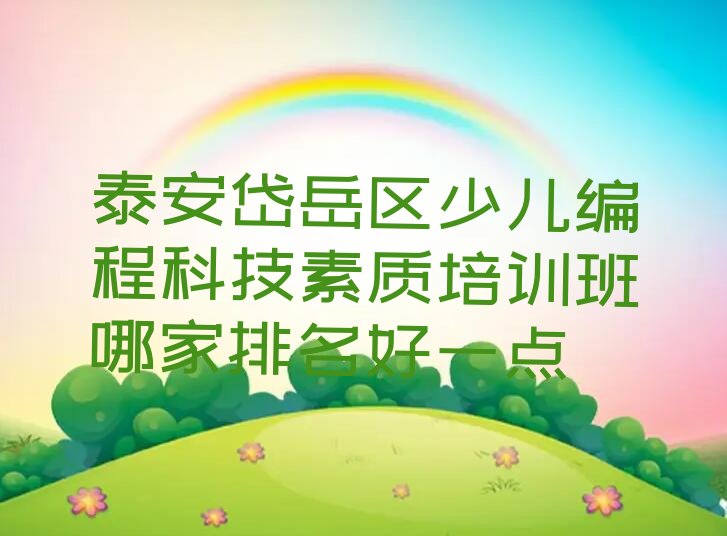 泰安岱岳区少儿编程培训学校