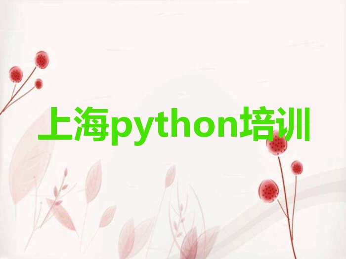 上海松江区python培训学校