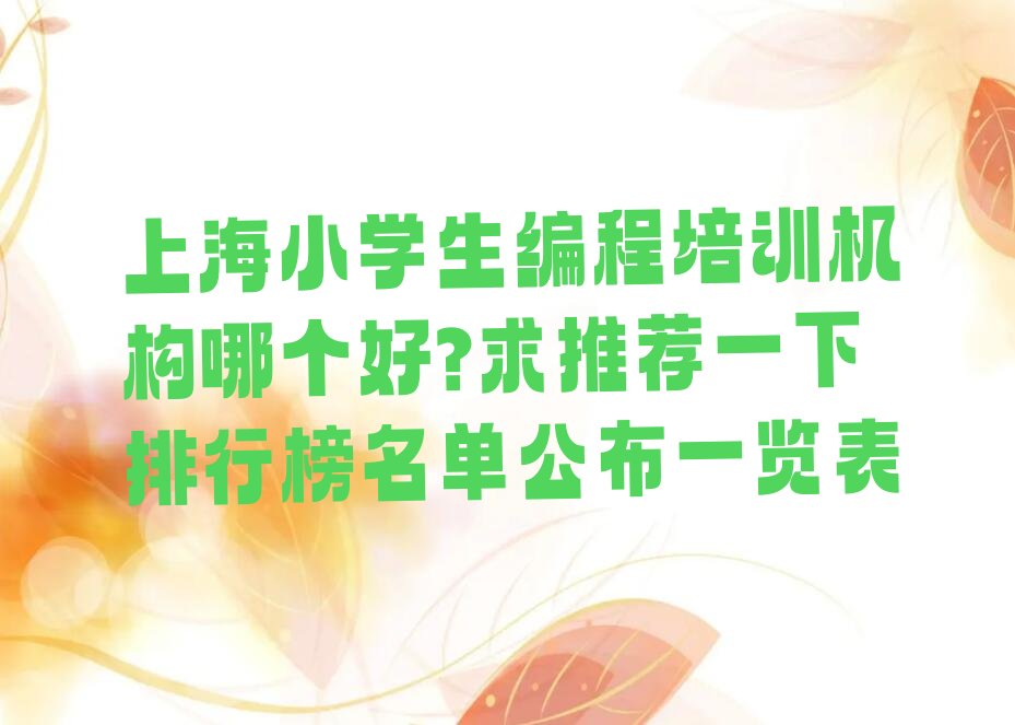 上海徐汇区少儿编程培训