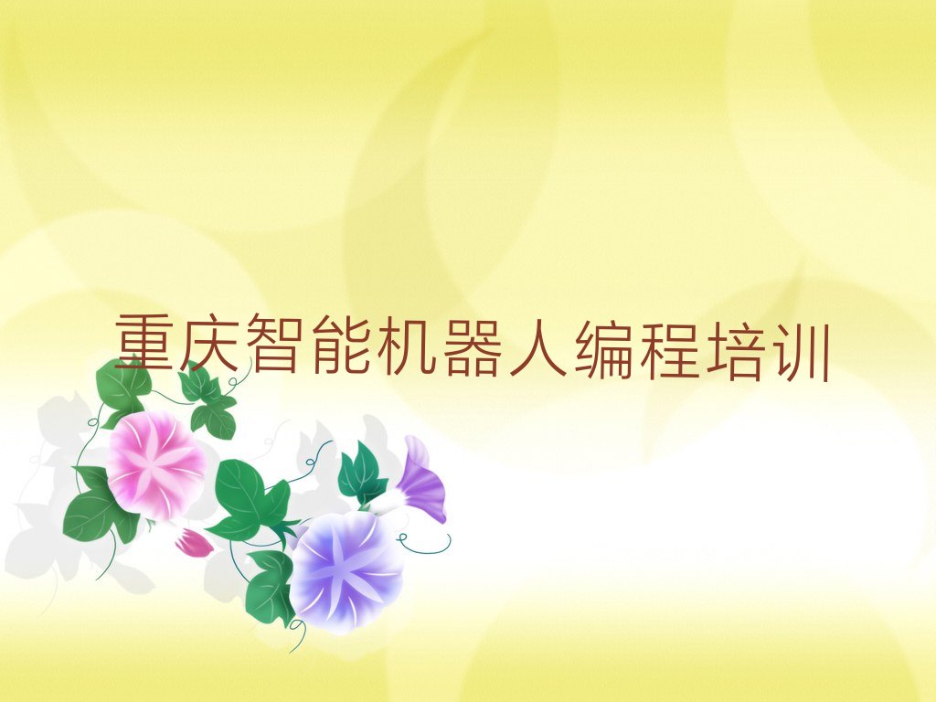 重庆长寿区少儿编程培训中心