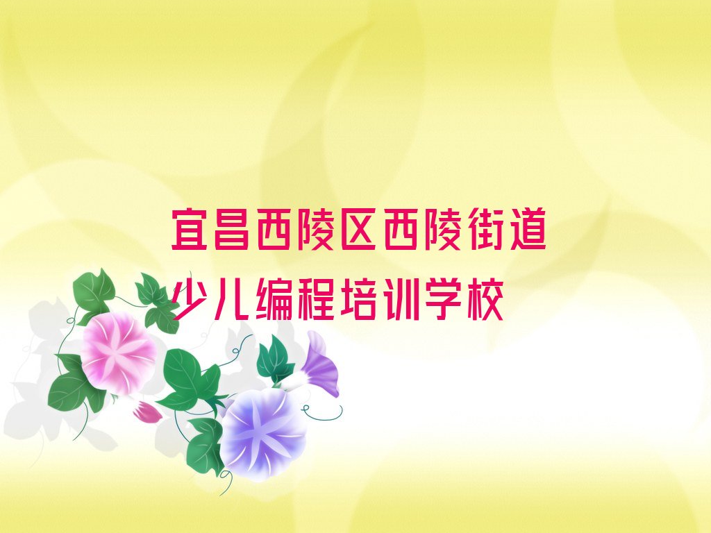 宜昌西陵区西陵街道少儿编程培训学校
