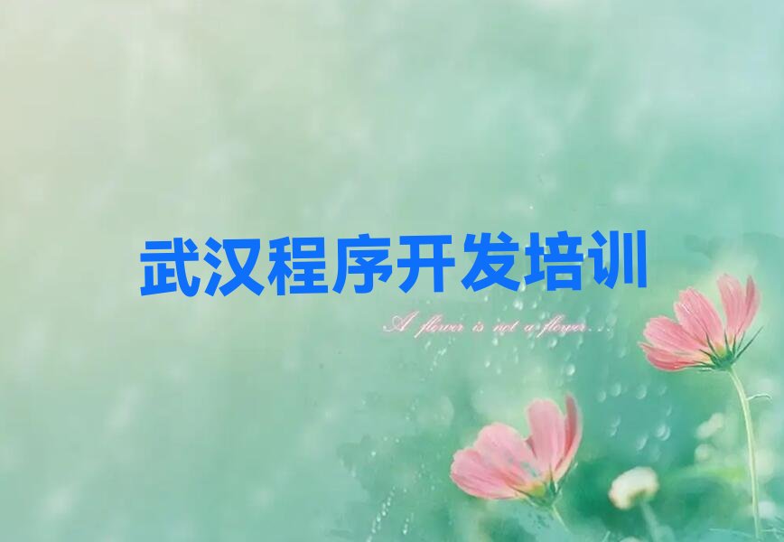武汉黄陂区六指街道python培训学校