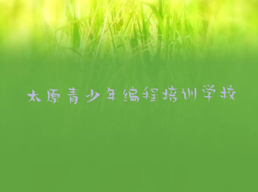 太原青少年编程培训学校