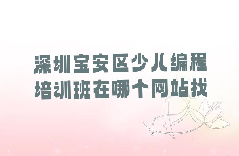 深圳宝安区深圳市宝安国际机场少儿编程培训学校