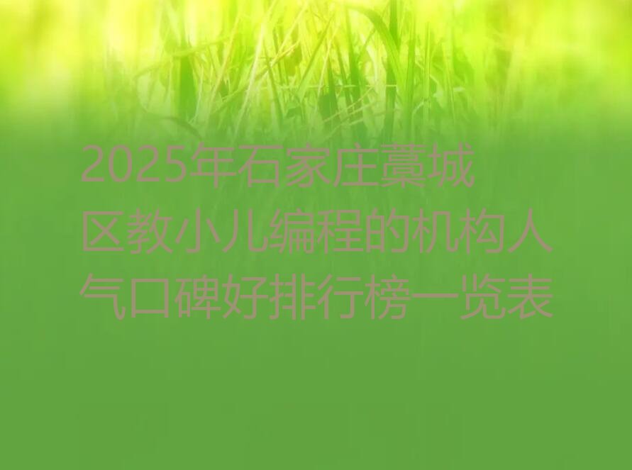 石家庄藁城区小儿编程培训学校