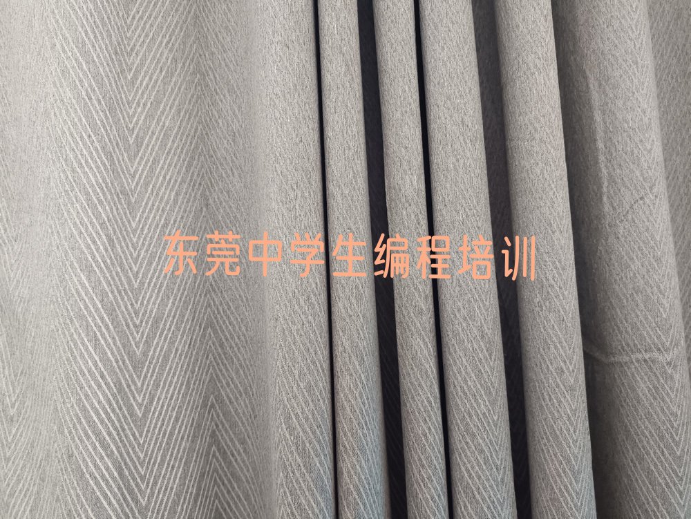 十大东莞怎么学中学生编程推荐十大排名一览表排行榜