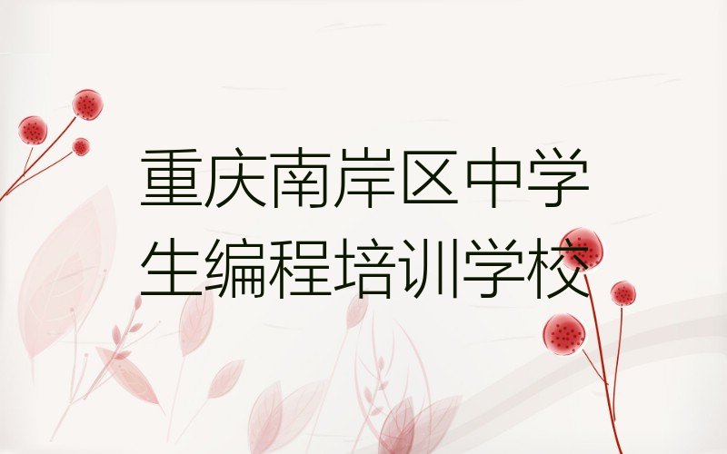 中学生编程