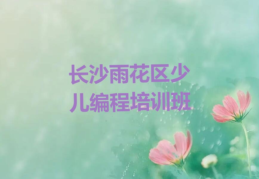 长沙雨花区少儿编程培训班