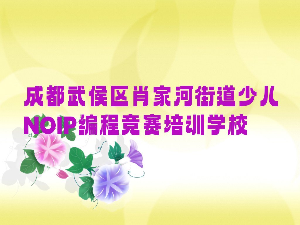 成都武侯区肖家河街道少儿NOIP编程竞赛培训学校