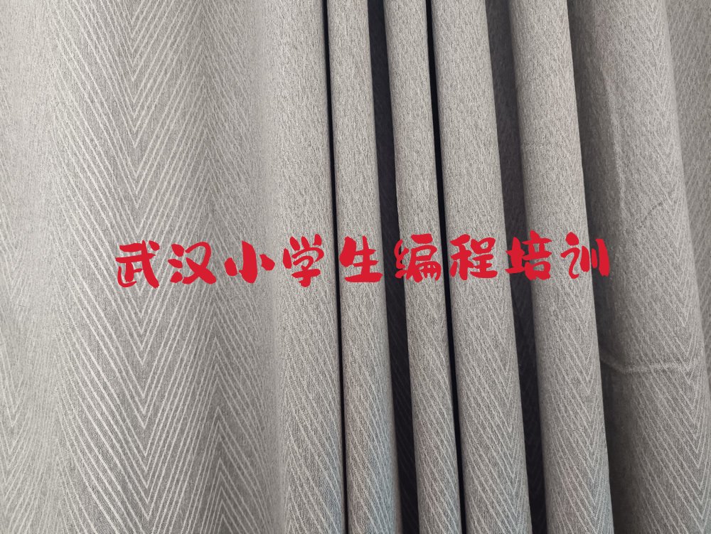十大武汉洪山区小学生编程培训地址在哪里查今日新排名榜一览表排行榜