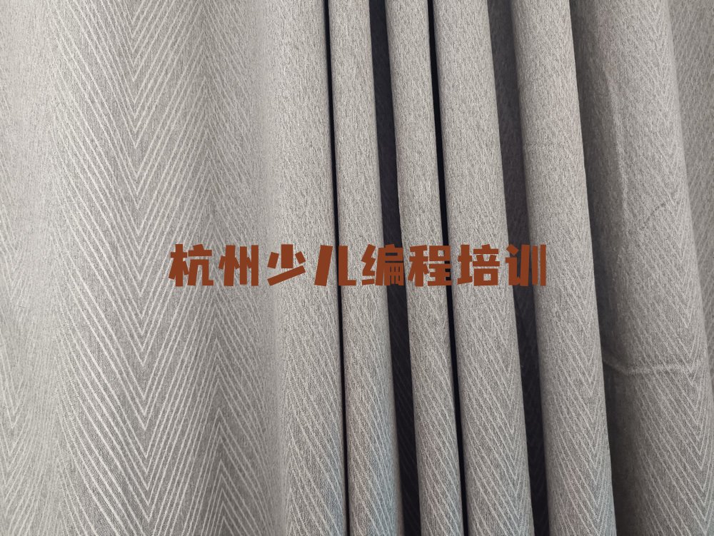 杭州下城区少儿AI机器人编程培训学校