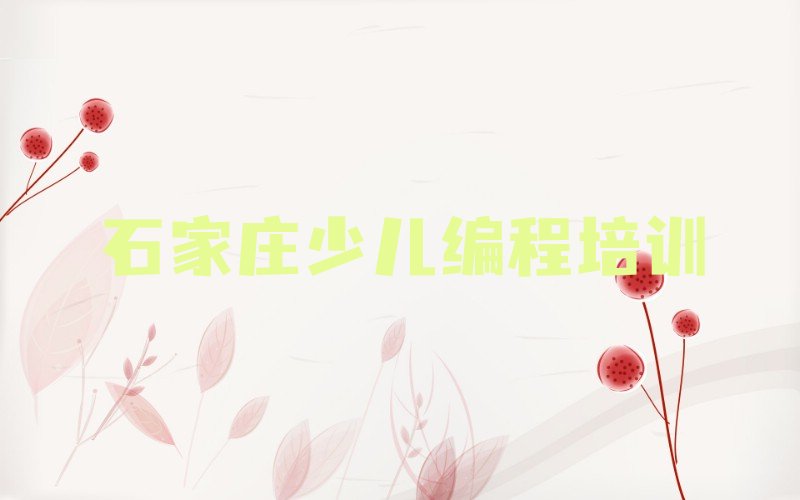 石家庄少儿编程培训中心