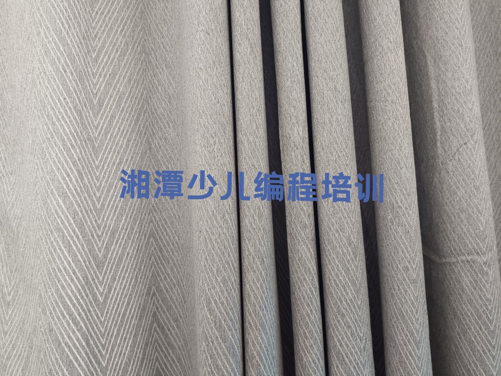 十大2025年湘潭雨湖区童程童美学娃娃编程哪里好十大排名一览排行榜排行榜