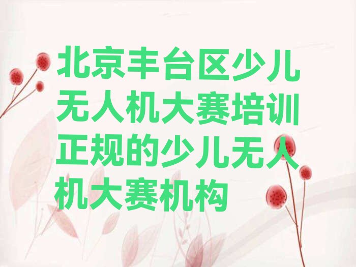 北京丰台区少儿无人机大赛培训学校