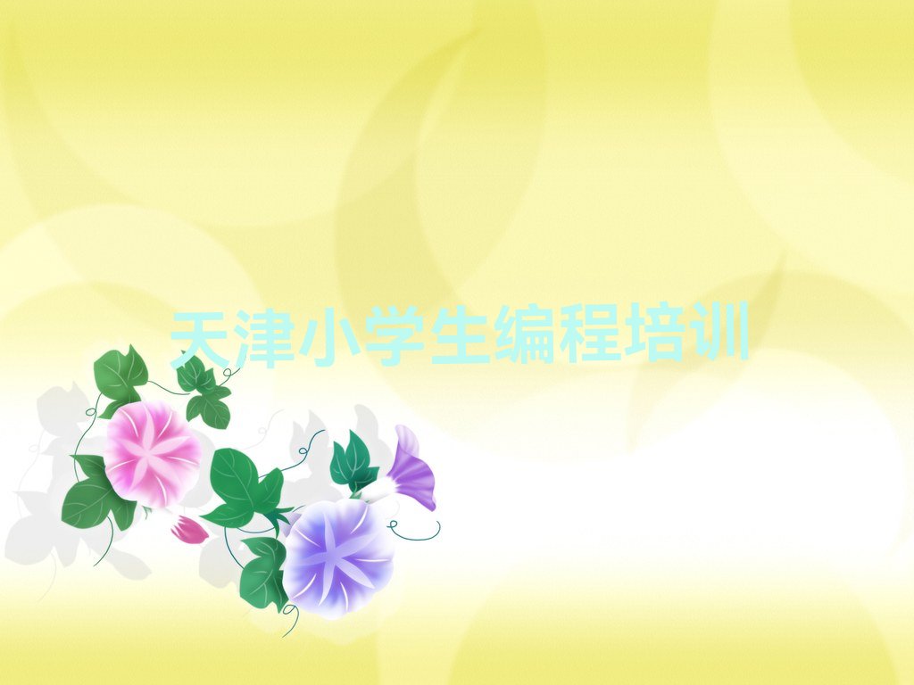 天津北辰区少儿编程培训中心