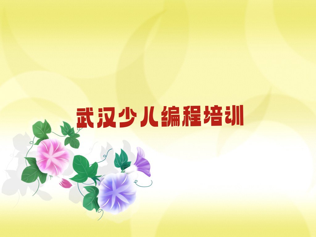 武汉洪山区和平街道少儿编程培训学校