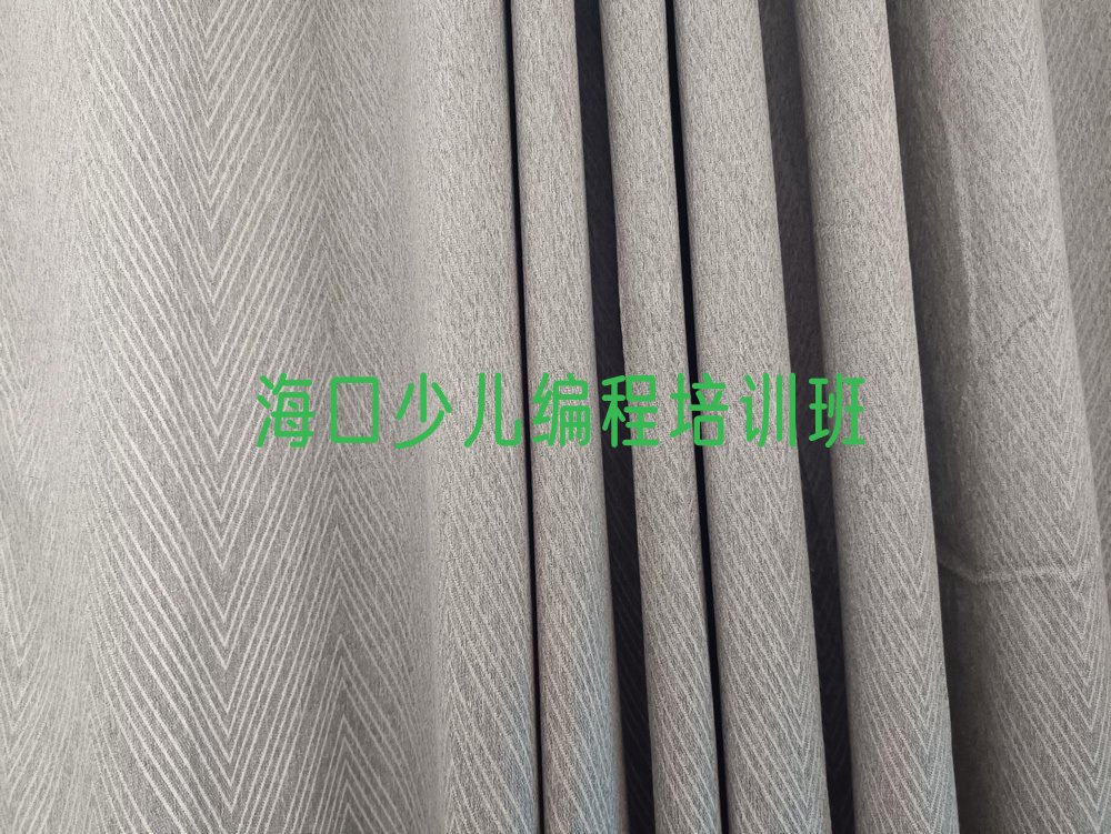 海口少儿编程培训班
