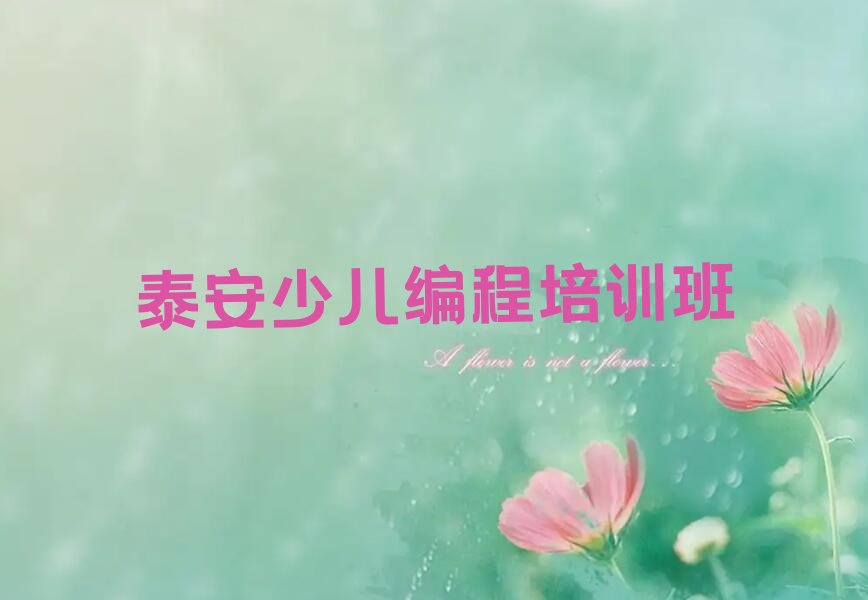 泰安少儿编程培训班