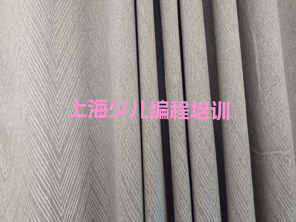 十大上海浦东新区c语言少儿编程培训学校速成班多少钱排行榜