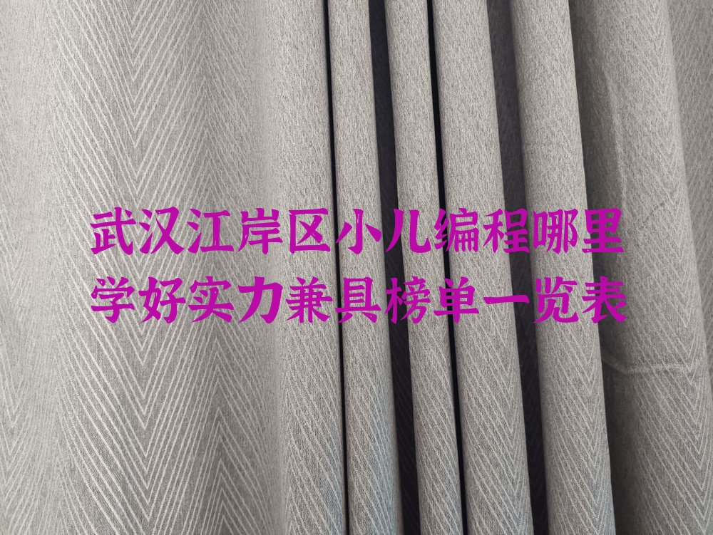武汉江岸区小儿编程培训学校
