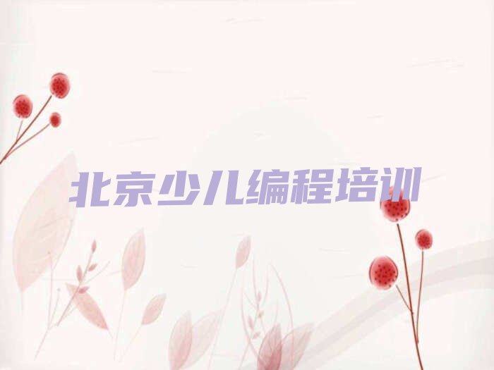 北京丰台区少儿编程培训