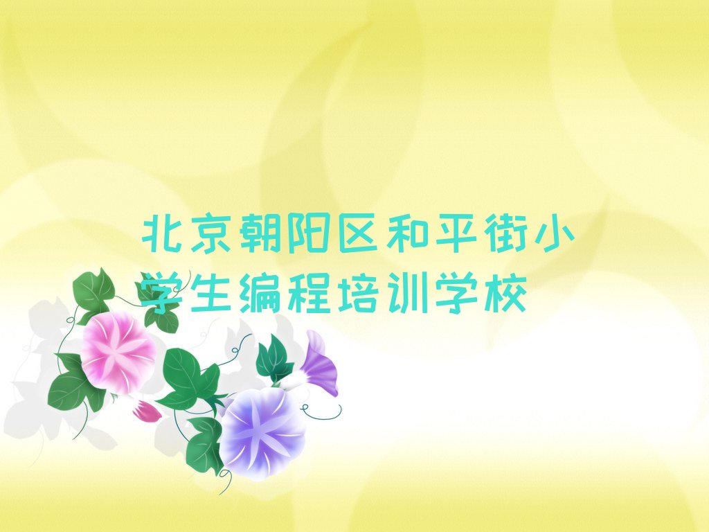北京朝阳区和平街小学生编程培训学校