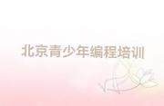 北京密云区青少年编程一对一辅导班有什么优势实力名单一览排行榜