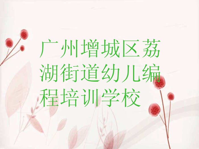 广州增城区荔湖街道幼儿编程培训学校