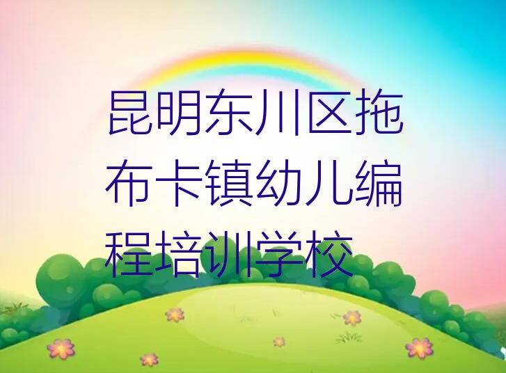幼儿编程
