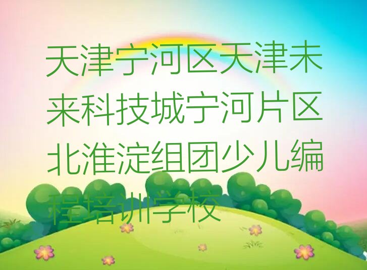 天津宁河区天津未来科技城宁河片区北淮淀组团少儿编程培训学校
