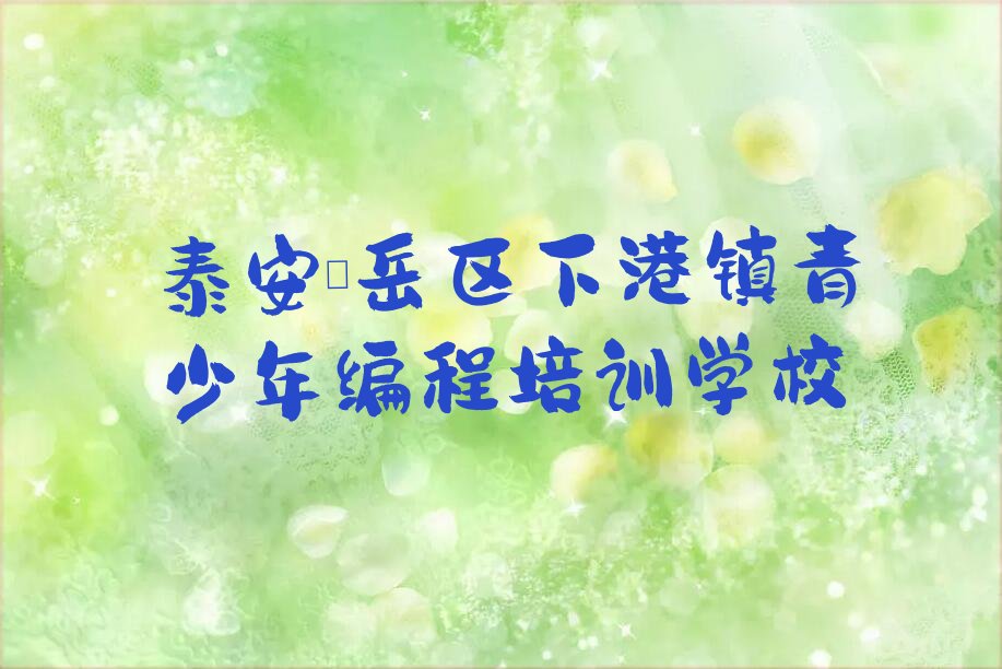 泰安岱岳区下港镇青少年编程培训学校