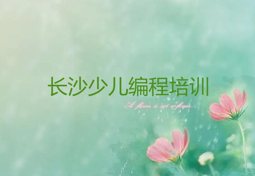 长沙少儿编程培训班
