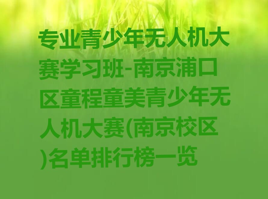 南京浦口区高新技术开发区青少年无人机大赛培训学校